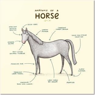 Anatomy of a Horse Posters and Art